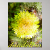 Dandelion Poster (Voorkant)