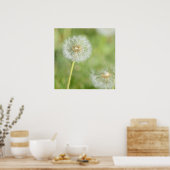 Dandelion Poster (Keuken)