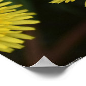 Dandelion Poster (Hoek)
