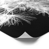Dandelion Poster (Hoek)