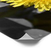 Dandelion Poster (Hoek)