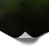 Dandelion Poster (Hoek)