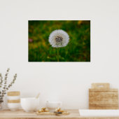Dandelion Poster (Keuken)