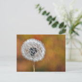 Dandelion Seed Briefkaart (Staand voorkant)