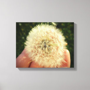 Dandelion Seed Head Canvas maken een wens Afdruk