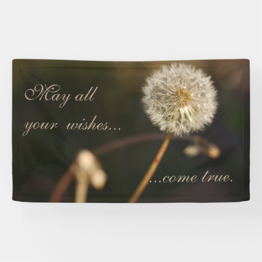 Dandelion Seed Head in Brown Tones Spandoek (Horizontaal)
