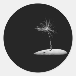Dandelion Seed Head Ronde Sticker