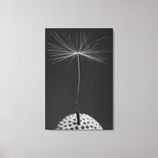 Dandelion Seed Photo sur toile (Recto)