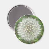Dandelion Seedhead Magneet (Voorkant / Achterkant)