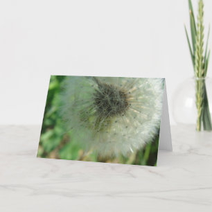 Dandelion Seeds Kaart