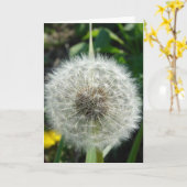 Dandelion Seeds Kaart (Gele Bloem)