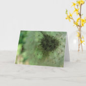 Dandelion Seeds Kaart (Gele Bloem)