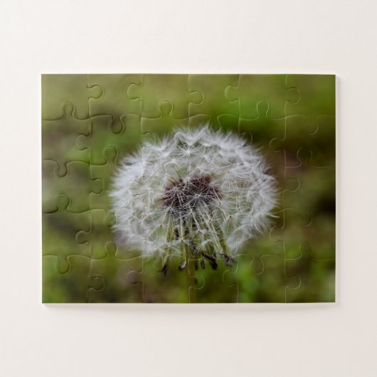 Dandelion Seeds Legpuzzel (Horizontaal)