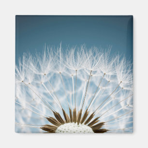 Dandelion Seeds Magneet