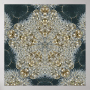 Dandelion Star nov 2012 Poster