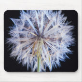 Dandelion (Taraxacum Officinale) zaadkop Muismat (Voorkant)