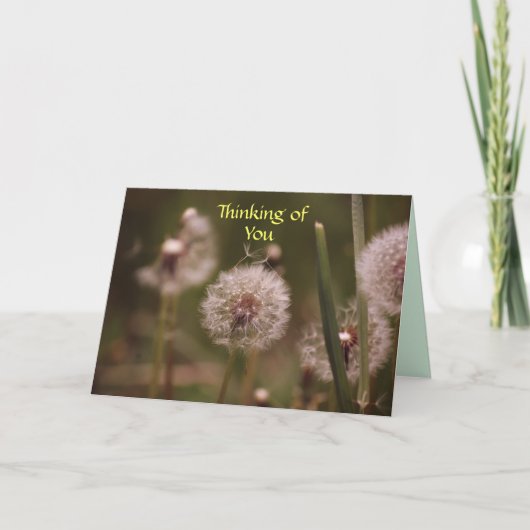 Dandelion Thinking of You Card Kaart (Voorkant)