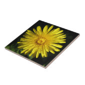 Dandelion Tile Tegeltje (Zijkant)