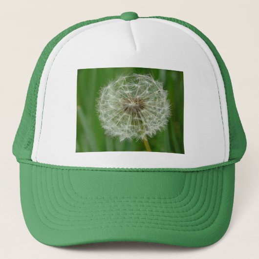 dandelion trucker pet (Voorkant)