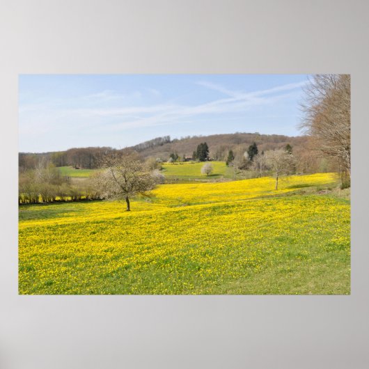 Dandelion-velden Poster (Voorkant)
