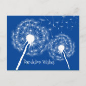 Dandelion veut carte postale design (Devant)