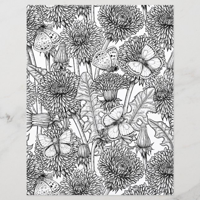 Dandelion-weide in zwart-wit (Voorkant)