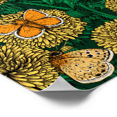 Dandelion-weide op donkergroen poster (Hoek)