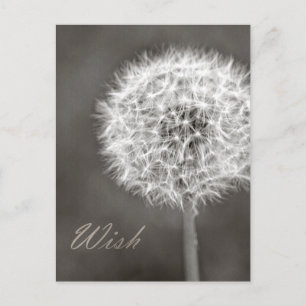 Dandelion Wish Briefkaart