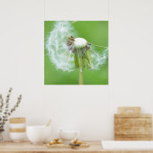 Dandelion Wish Made Poster (Keuken)