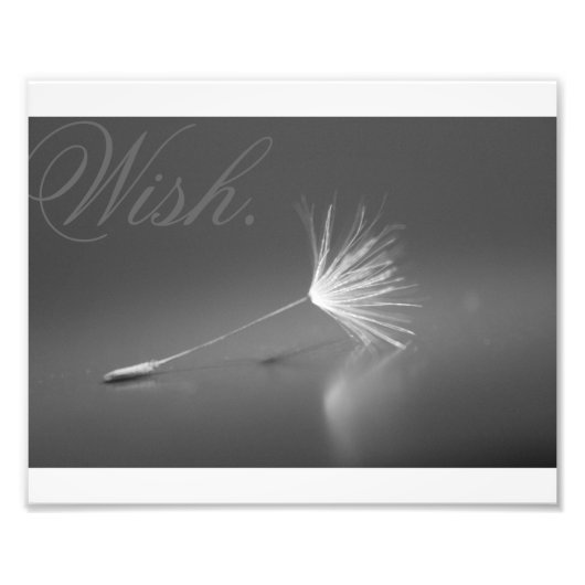 Dandelion Wish Photo Foto Afdruk (Voorkant)