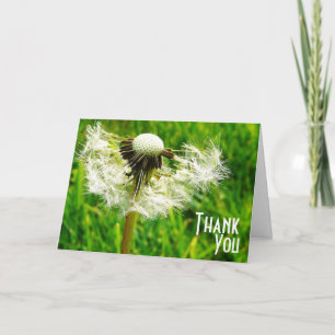 Dandelion Wishes - Bedankt voor het zijn van mijn