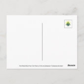 Dandelion With Dew Peaceful, Elegant, Nature Briefkaart (Achterkant)