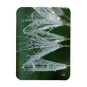 Dandelion with Dew Peaceful Nature Meditation Magneet (Verticaal)