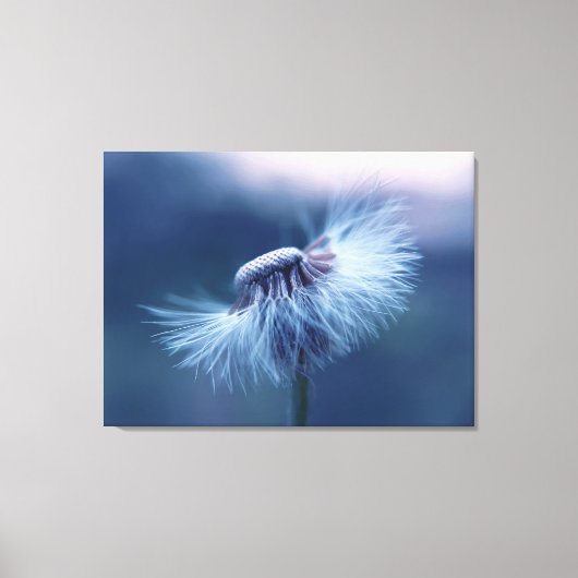 Dandelion Wrapped Canvas Art Afdruk (Voorkant)