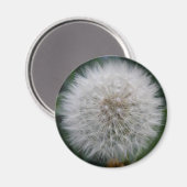 Dandelionbloem Magneet (Voorkant / Achterkant)