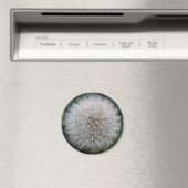 Dandelionbloem Magneet (Insitu (Vaatwasser))