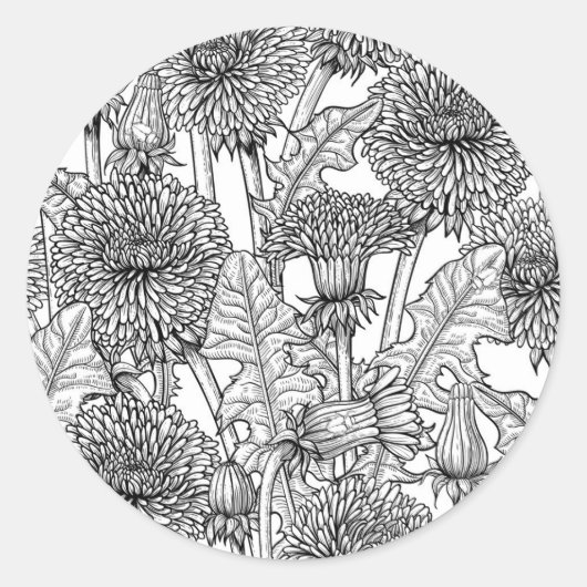 Dandelions, black and white ronde sticker (Voorkant)