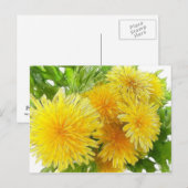 Dandelions! Briefkaart (Voorkant / Achterkant)