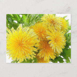 Dandelions! Briefkaart