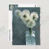 Dandelions Briefkaart (Voorkant / Achterkant)