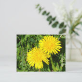 Dandelions Briefkaart (Staand voorkant)