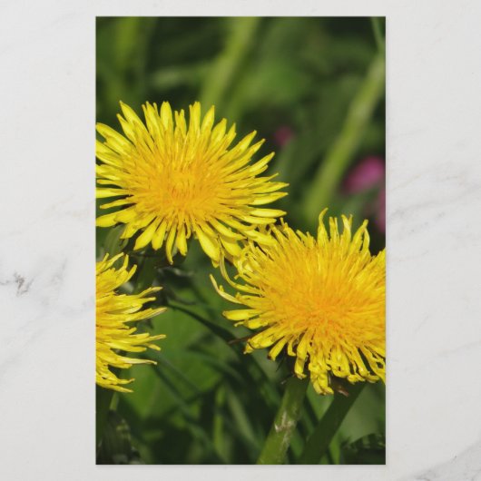 Dandelions Briefpapier (Voorkant)
