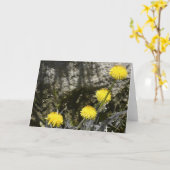 Dandelions, carte (Fleur jaune)