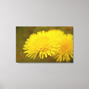 Dandelions droom. gele wilde bloem canvas afdruk