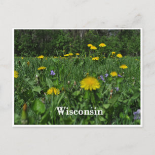 Dandelions en Violet Briefkaart
