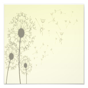 Dandelions Foto Afdruk
