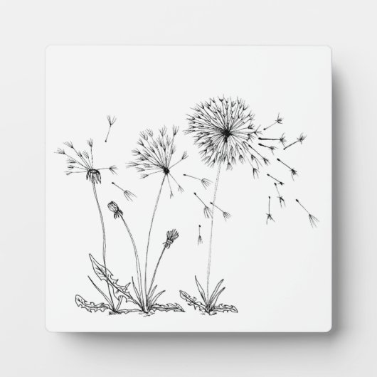 Dandelions Fotoplaat (Voorkant)
