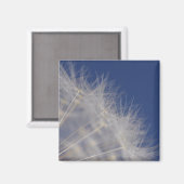 Dandelions Magneet (Voorkant / Achterkant)