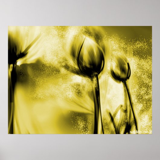 Dandelions met achtergrondverlichting in Antiek Po Poster (Voorkant)