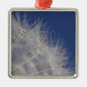 Dandelions Metalen Ornament
